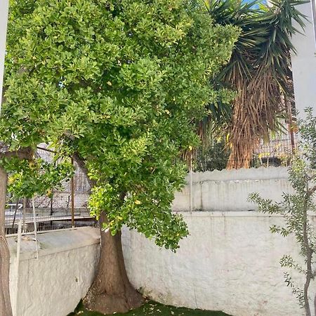 Modern 3Br Maisonette With Garden 10 Min From Acropolis أثينا المظهر الخارجي الصورة